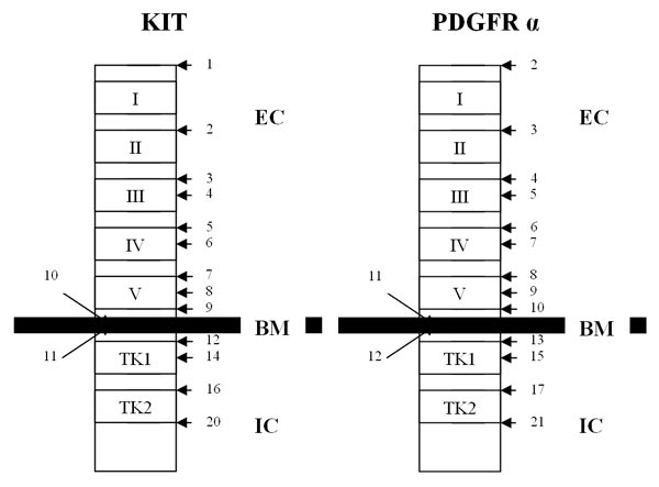 Obr.1